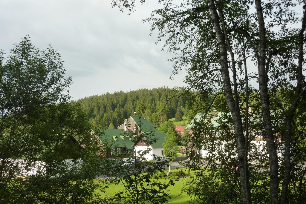 Penzion U Pstruha Modrava Exterior photo